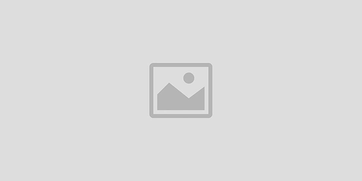 出海独立电商外贸电商系统 promo
